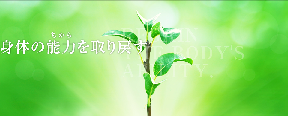 身体の能力(ちから)を取り戻す